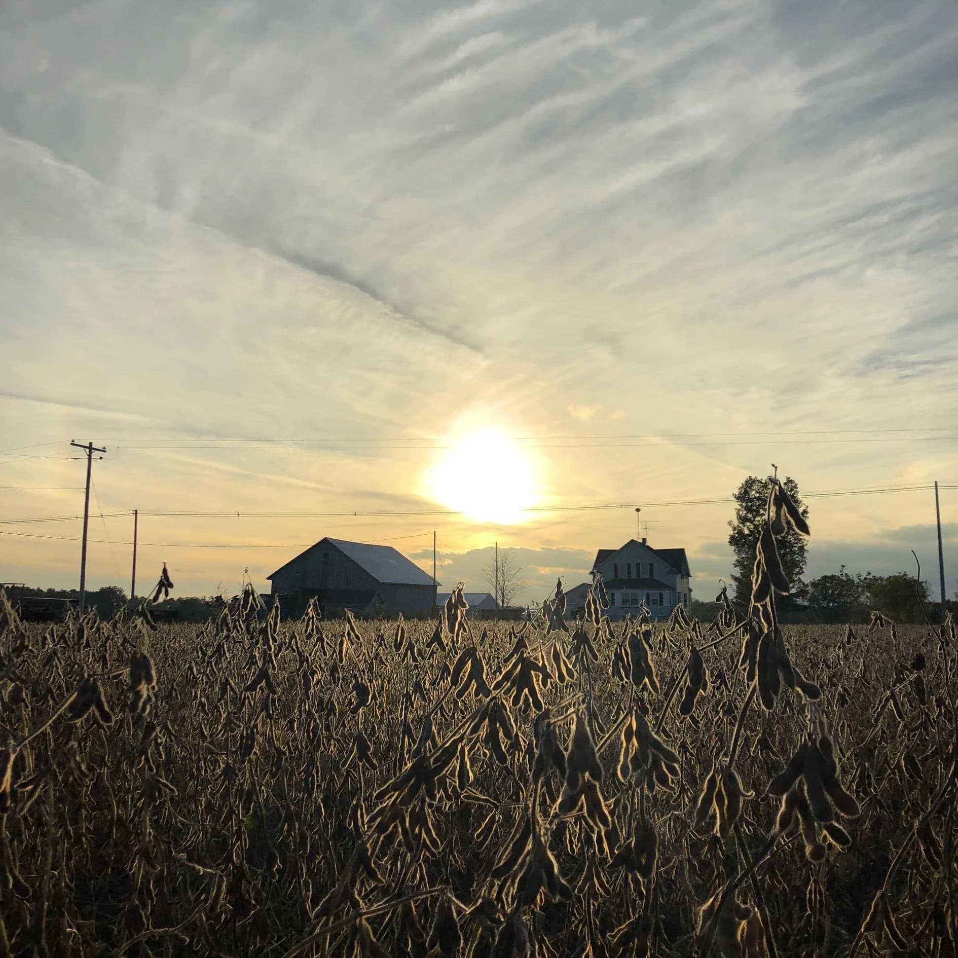Raterink Family Farm