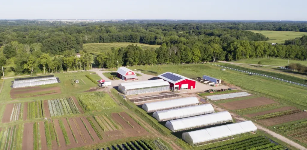 Green Wagon Farm in Michigan