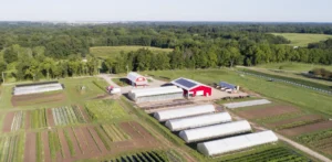 Green Wagon Farm in Michigan